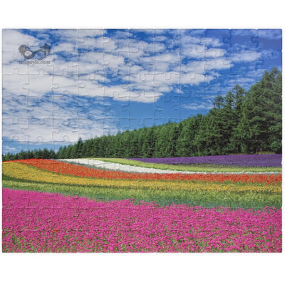 Experience the vibrant beauty of the Rainbow Colored Fields Puzzle! With 110 to 1014 pieces, this puzzle offers both a challenging and relaxing activity. As each piece falls into place, watch the mesmerizing colors come together to create a stunning landscape. 