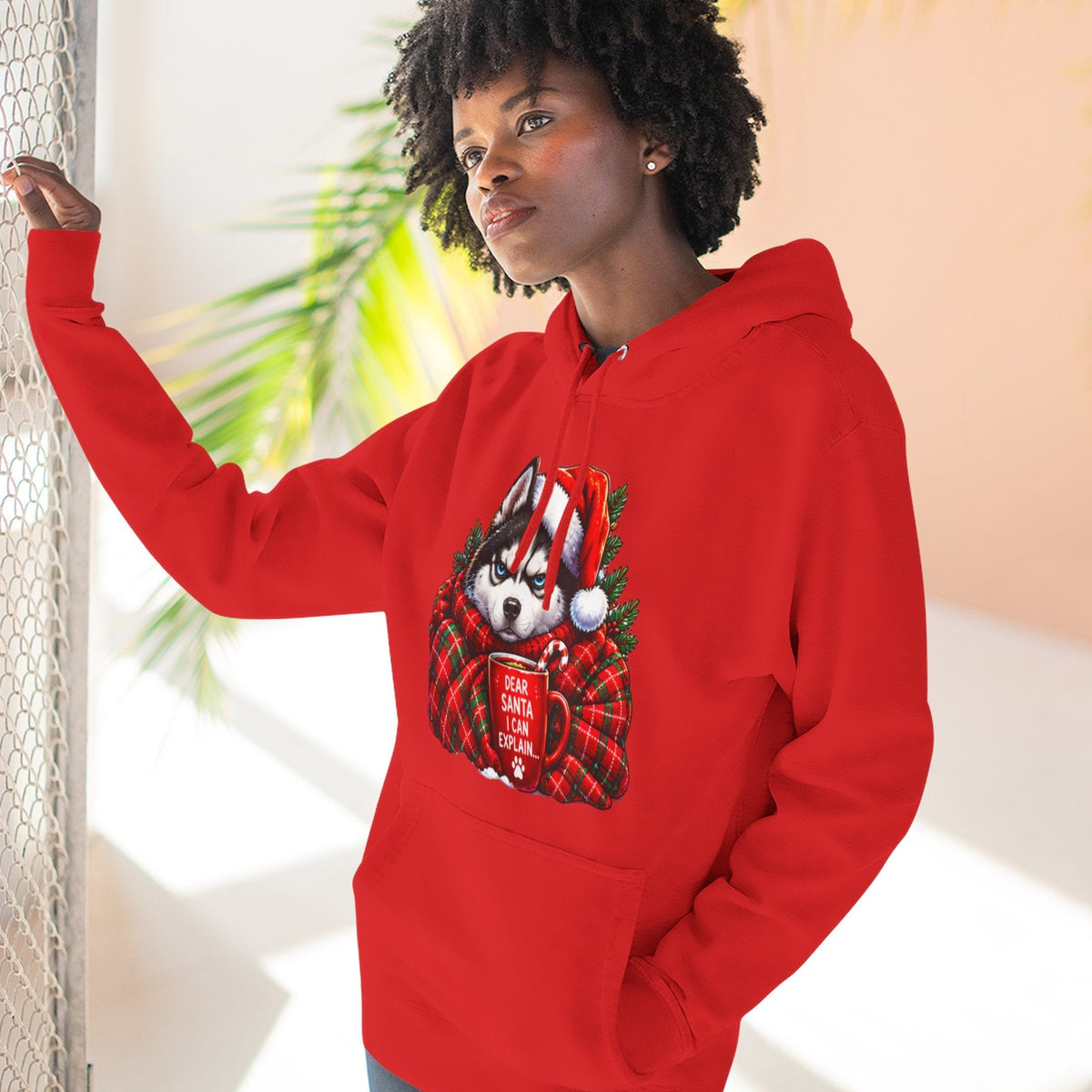 Santa I Can Explain Christmas Dog Thick Pullover Hoodie
