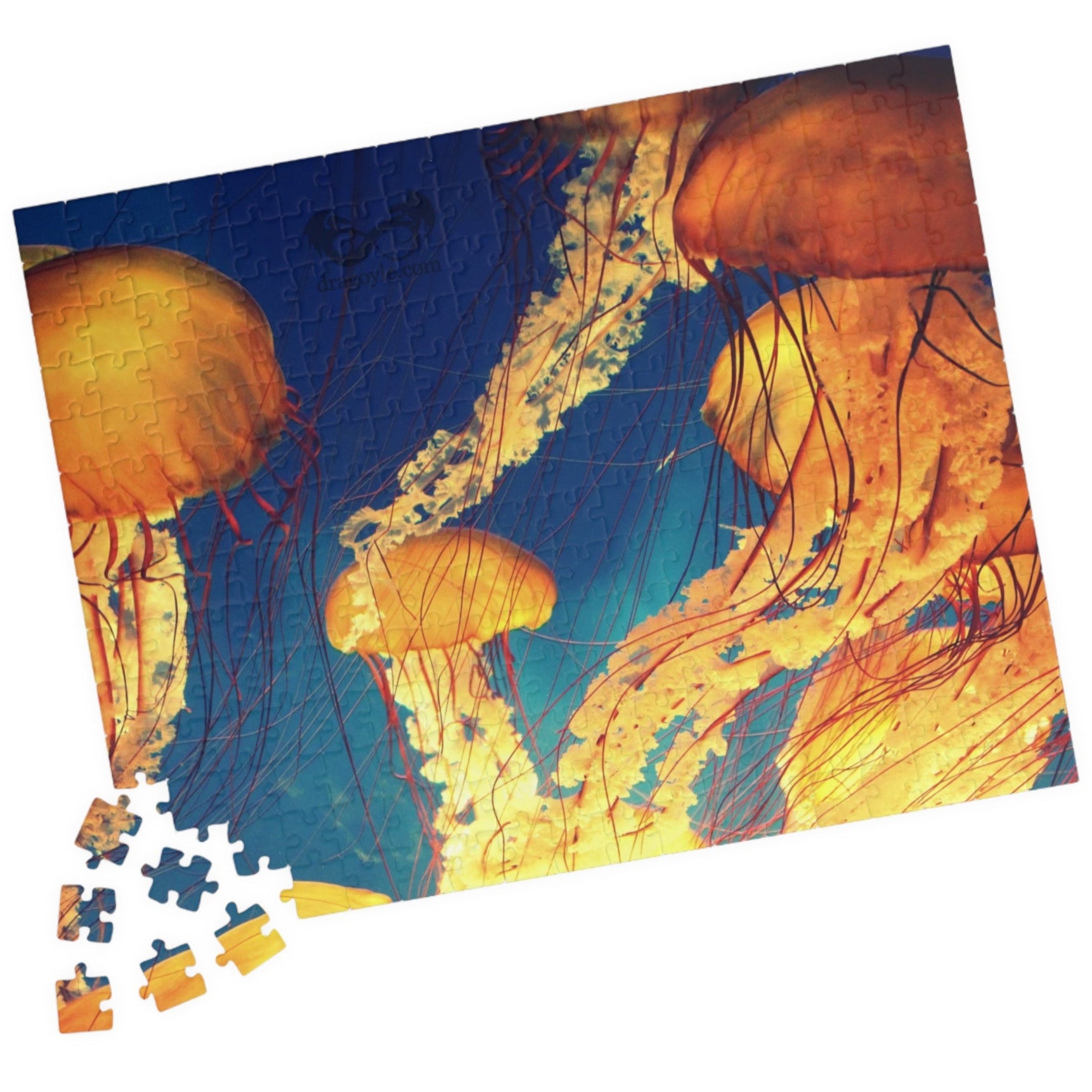 Indulge in the essence of the ocean with our Orange Jellyfish Puzzle. Crafted with 110 to 1014 pieces, this puzzle captures the striking hues and intricate details of a jellyfish. Dive into a world of relaxation and challenge your mind simultaneously.