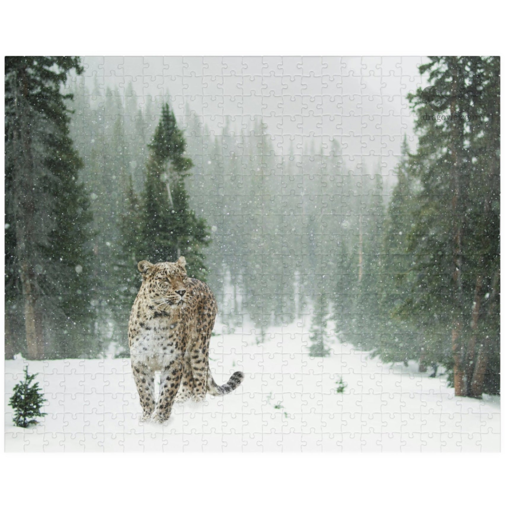 Take on the challenge of this Leopard In A Snow Storm Puzzle! With 110 to 1014 pieces, this puzzle will put your skills to the test as you piece together a stunning image of a leopard in its natural habitat. 