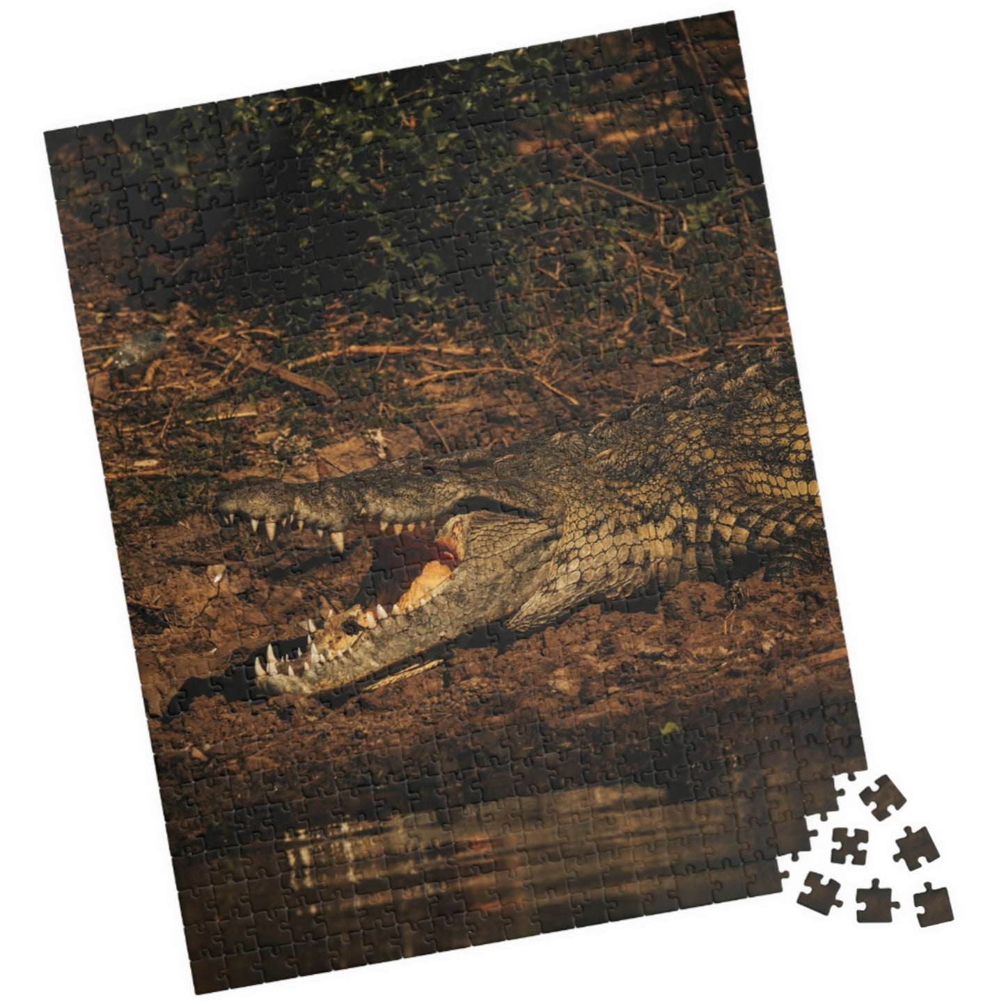 Unleash your adventurous spirit with our Crocodile Puzzle! Featuring 110-1014 pieces, this puzzle will challenge your mind and take you on a wild journey. With its unique crocodile design, it will keep you entertained for hours. Get ready to solve the challenge and conquer the crocodile!