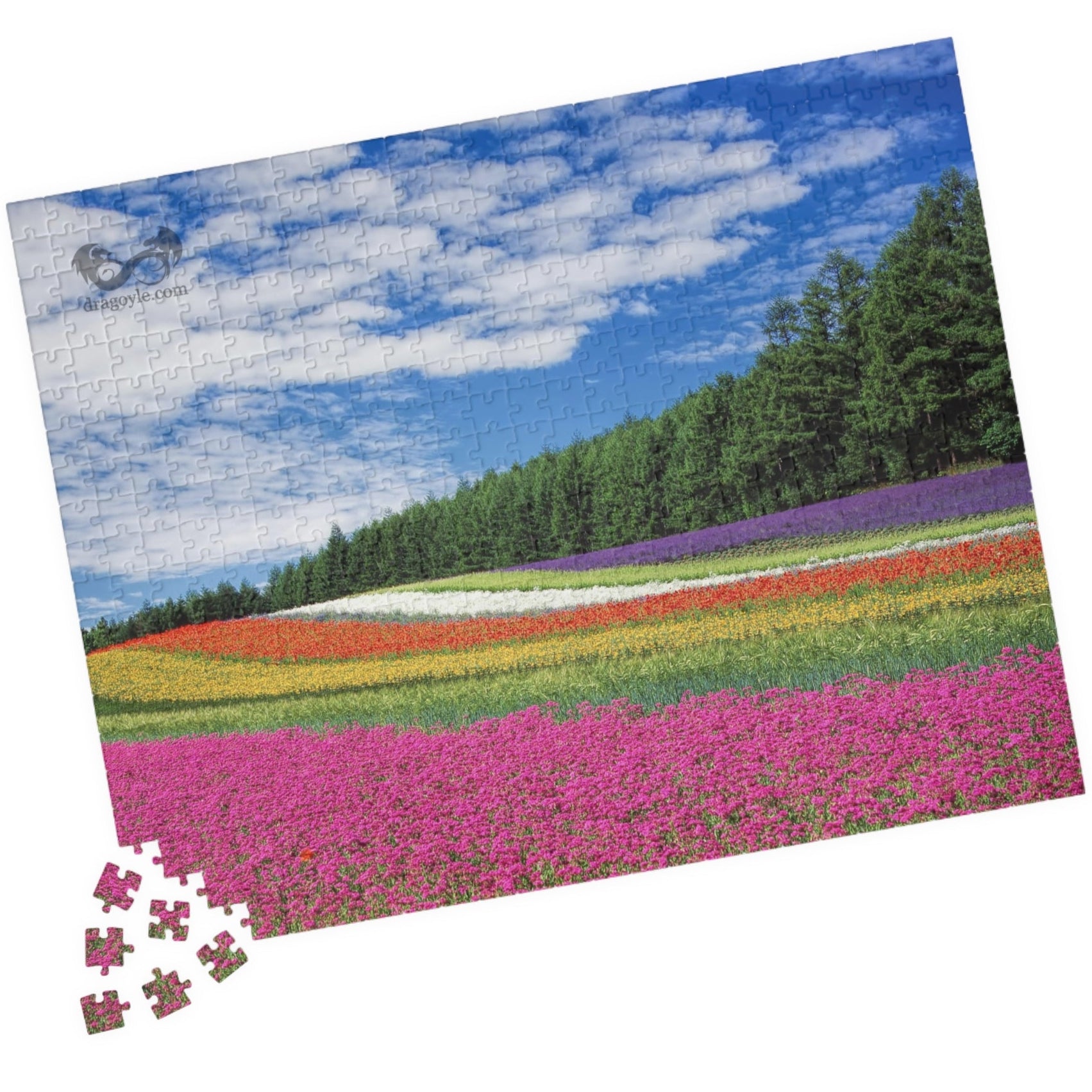Experience the vibrant beauty of the Rainbow Colored Fields Puzzle! With 110 to 1014 pieces, this puzzle offers both a challenging and relaxing activity. As each piece falls into place, watch the mesmerizing colors come together to create a stunning landscape. 