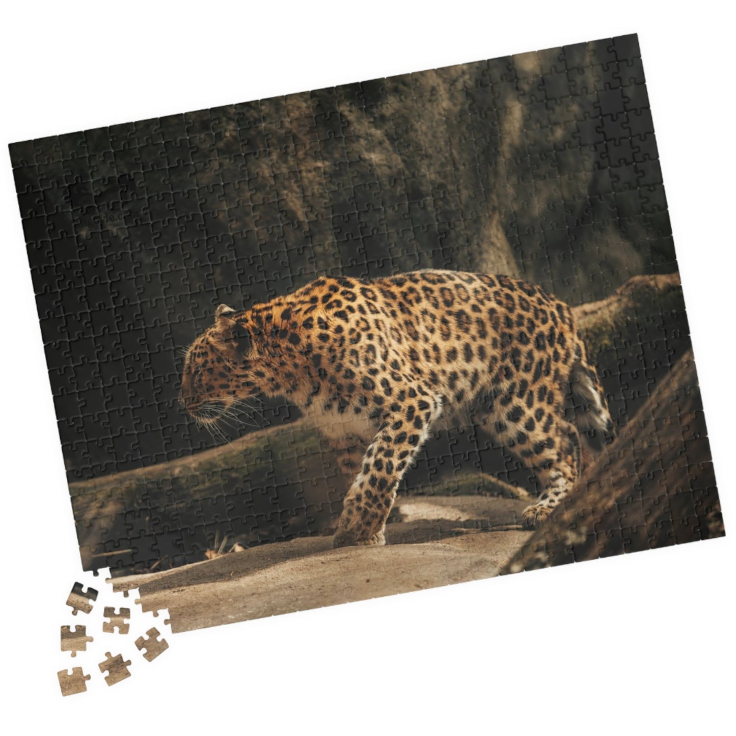 Unleash your wild side with our Stalking Leopard Puzzle! Challenge yourself with 110 to 1014 pieces of fierce feline action. Let the stalking begin as you put together this dynamic image of a sleek and powerful leopard. Embrace the thrill of the hunt and complete this puzzle today!