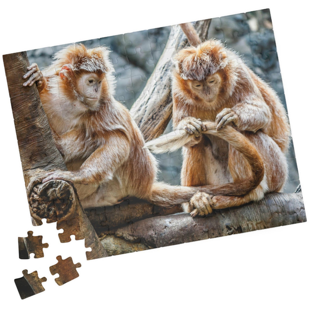 Get ready for endless fun with the Two Adorable Monkeys Puzzle! Featuring two playful monkeys in a stunning 110 to 1014 piece puzzle, this quirky and humorous puzzle is perfect for anyone who doesn't take themselves too seriously. With unique word play, double meanings, and a playful tone, this puzzle is sure to provide hours of entertainment.