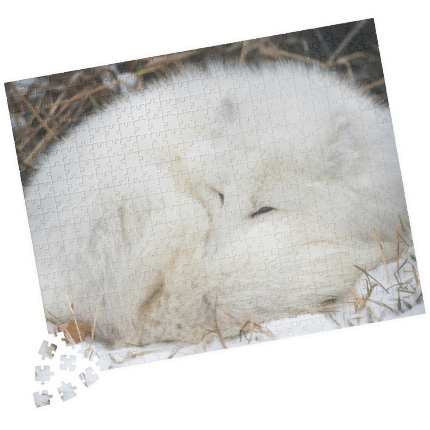 Discover the beauty of nature with our Sleeping White Fox Puzzle! This puzzle features a stunning image of a peaceful white fox, and is available in 110 to 1014 pieces. Piece by piece, you'll feel a sense of accomplishment as you bring this majestic creature to life. Perfect for animal lovers and puzzle enthusiasts alike!