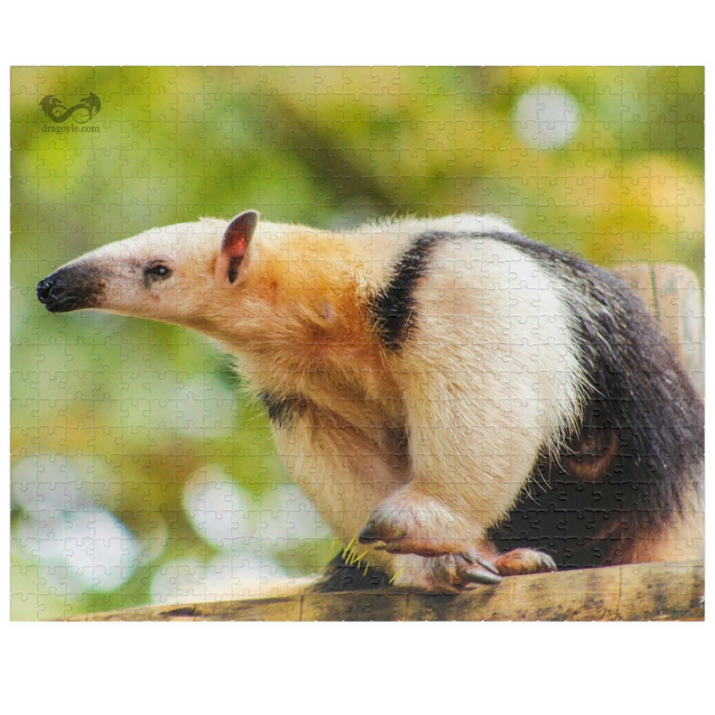 Unleash your inner explorer with our Giant Anteater Puzzle! With 110 to 1014 interlocking pieces, this puzzle is perfect for all skill levels. Delve into the world of this fascinating animal as you piece together its image, and experience the satisfaction of completing this challenging puzzle.