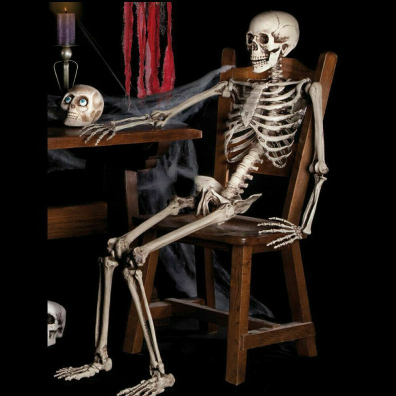 Poseable Full Life Size  Skeleton Halloween Décor
