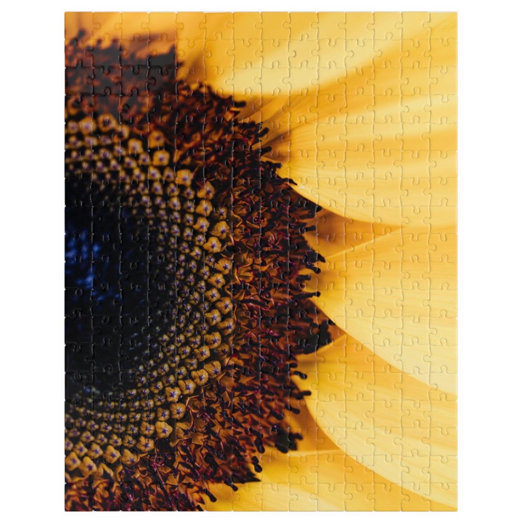 Unleash your inner puzzle solver with our Sunflower Close Up Puzzle! Piece together the vibrant colors and intricate details of this 110 to 1014 piece puzzle. Perfect for anyone who loves a challenge, this puzzle will provide hours of entertainment and a sense of accomplishment upon completion. Get yours today and experience the joy of solving!