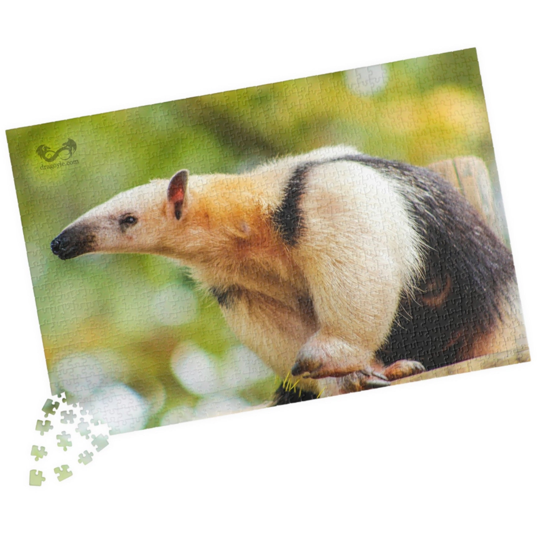 Unleash your inner explorer with our Giant Anteater Puzzle! With 110 to 1014 interlocking pieces, this puzzle is perfect for all skill levels. Delve into the world of this fascinating animal as you piece together its image, and experience the satisfaction of completing this challenging puzzle.