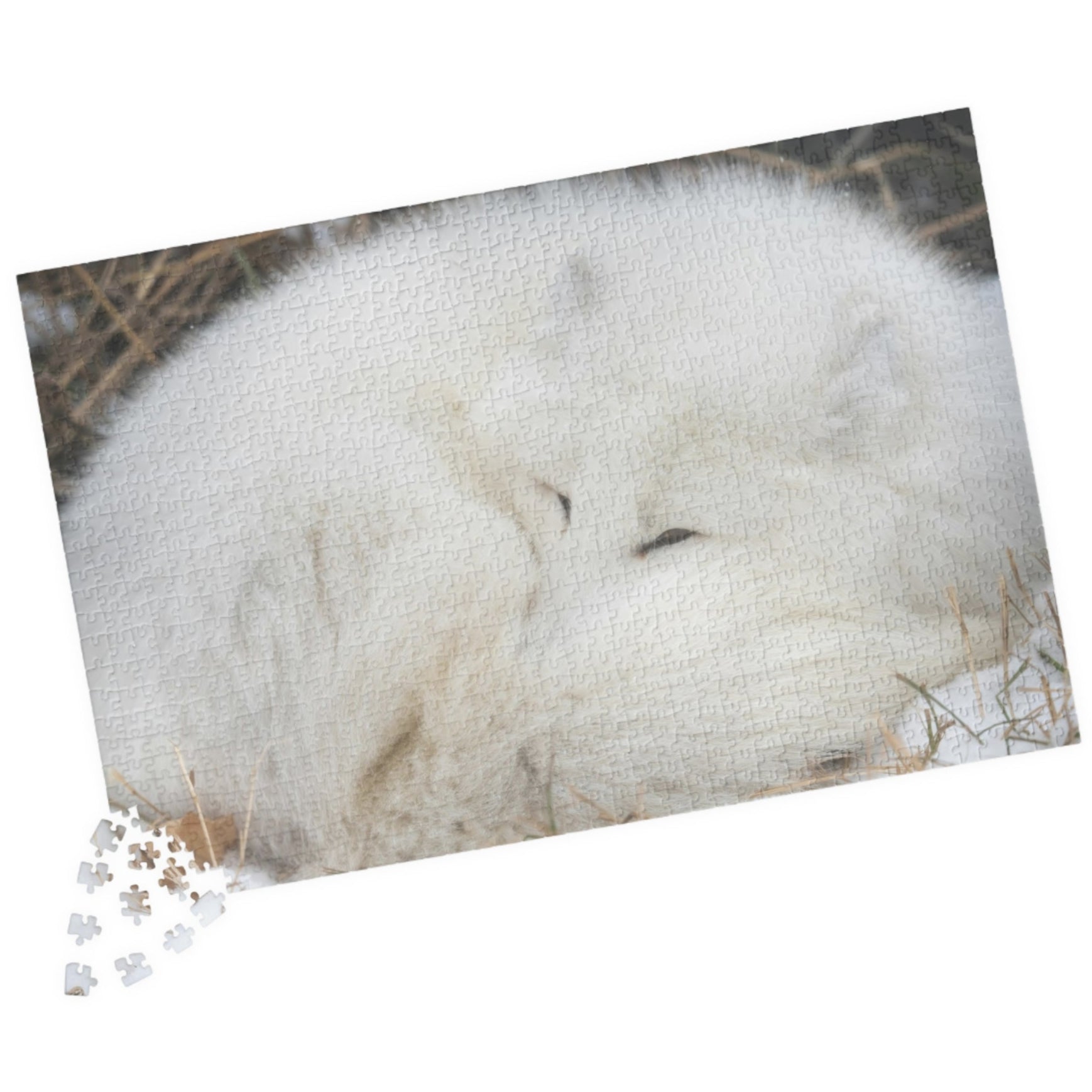 Discover the beauty of nature with our Sleeping White Fox Puzzle! This puzzle features a stunning image of a peaceful white fox, and is available in 110 to 1014 pieces. Piece by piece, you'll feel a sense of accomplishment as you bring this majestic creature to life. Perfect for animal lovers and puzzle enthusiasts alike!