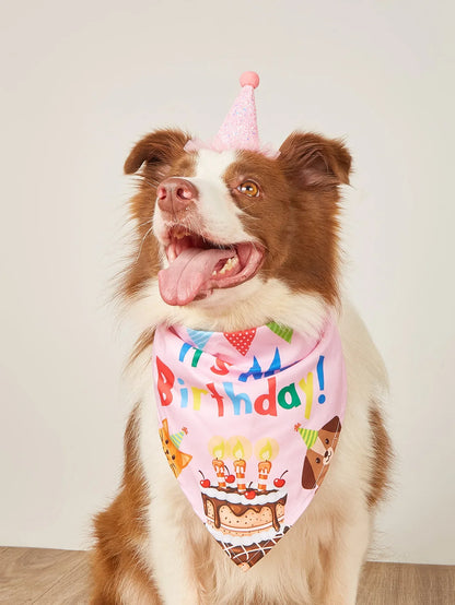 Happy Birthday Pet Party Costume