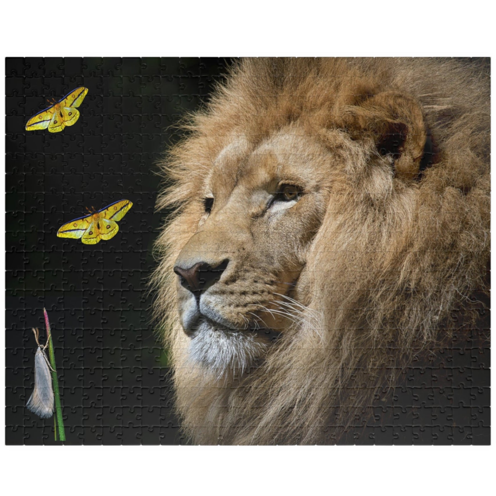 Unleash your adventurous spirit with the Lion &amp; Butterfly Puzzle! Challenge yourself with 110 to 1014 pieces and discover the stunning combination of a majestic lion and delicate butterfly. As you put together this high-quality puzzle, experience the thrill of completing a daring mission.