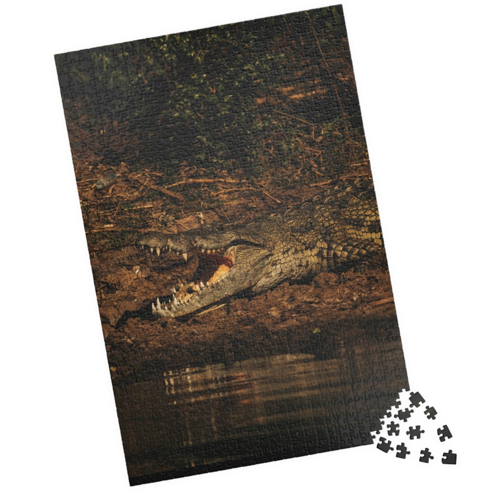 Unleash your adventurous spirit with our Crocodile Puzzle! Featuring 110-1014 pieces, this puzzle will challenge your mind and take you on a wild journey. With its unique crocodile design, it will keep you entertained for hours. Get ready to solve the challenge and conquer the crocodile!