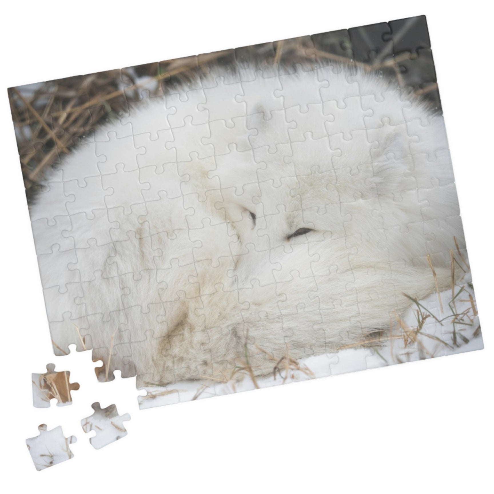 Discover the beauty of nature with our Sleeping White Fox Puzzle! This puzzle features a stunning image of a peaceful white fox, and is available in 110 to 1014 pieces. Piece by piece, you'll feel a sense of accomplishment as you bring this majestic creature to life. Perfect for animal lovers and puzzle enthusiasts alike!