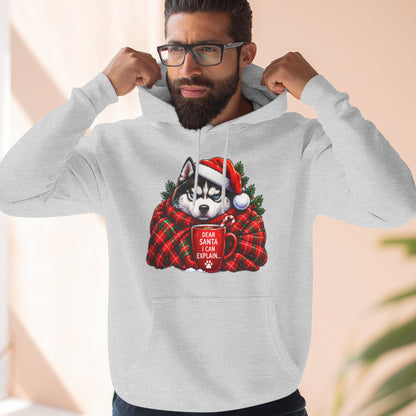 Santa I Can Explain Christmas Dog Thick Pullover Hoodie
