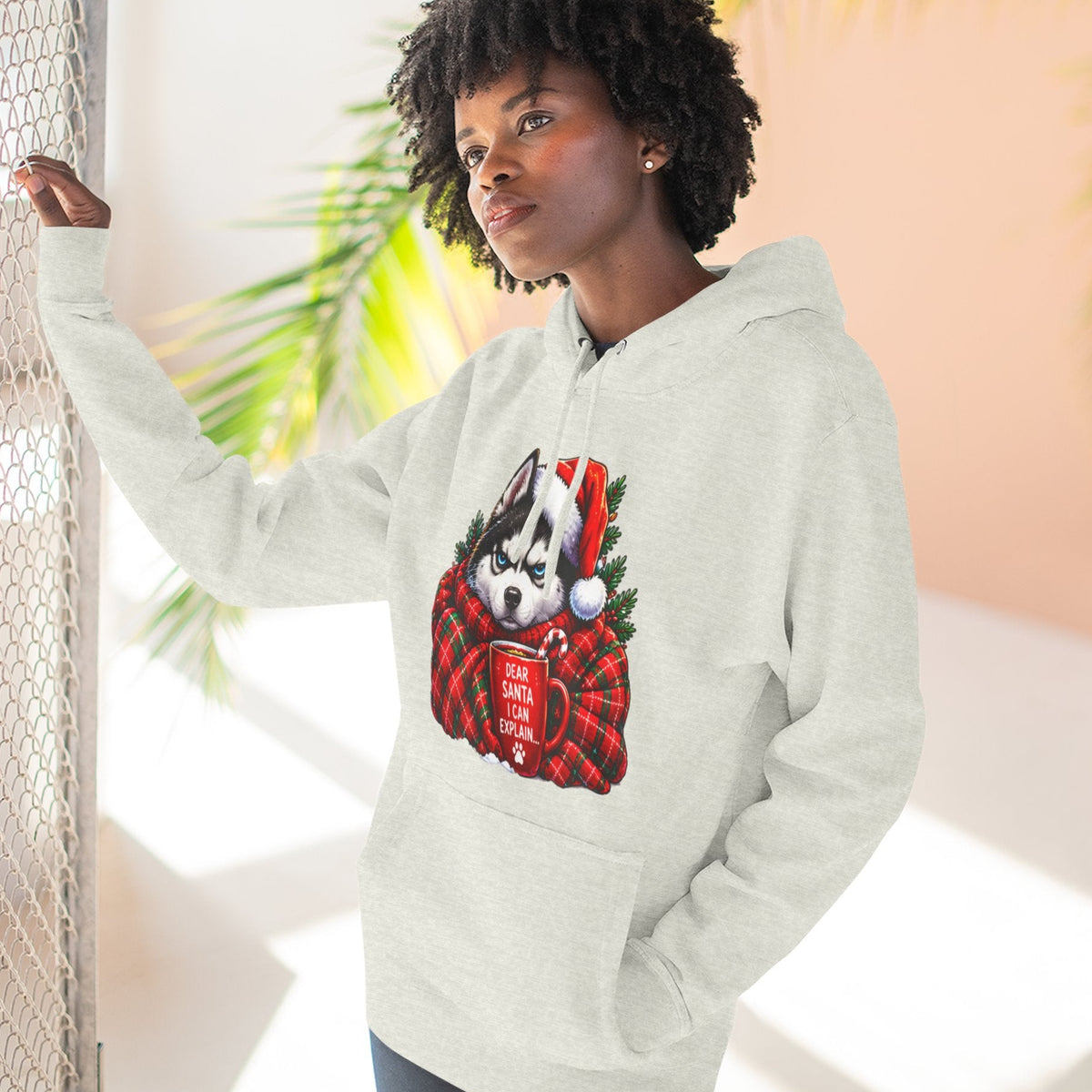 Santa I Can Explain Christmas Dog Thick Pullover Hoodie
