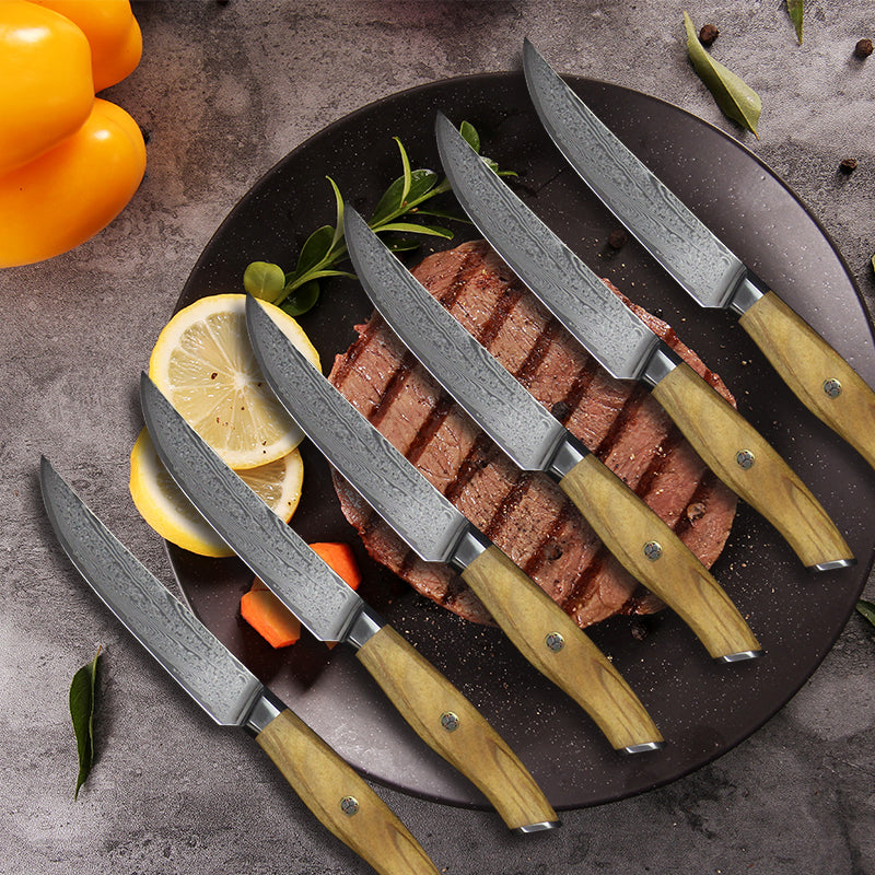 67 Layers Damascus Steel Japanese VG10 Blade Steak Knife