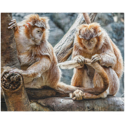 Get ready for endless fun with the Two Adorable Monkeys Puzzle! Featuring two playful monkeys in a stunning 110 to 1014 piece puzzle, this quirky and humorous puzzle is perfect for anyone who doesn't take themselves too seriously. With unique word play, double meanings, and a playful tone, this puzzle is sure to provide hours of entertainment.