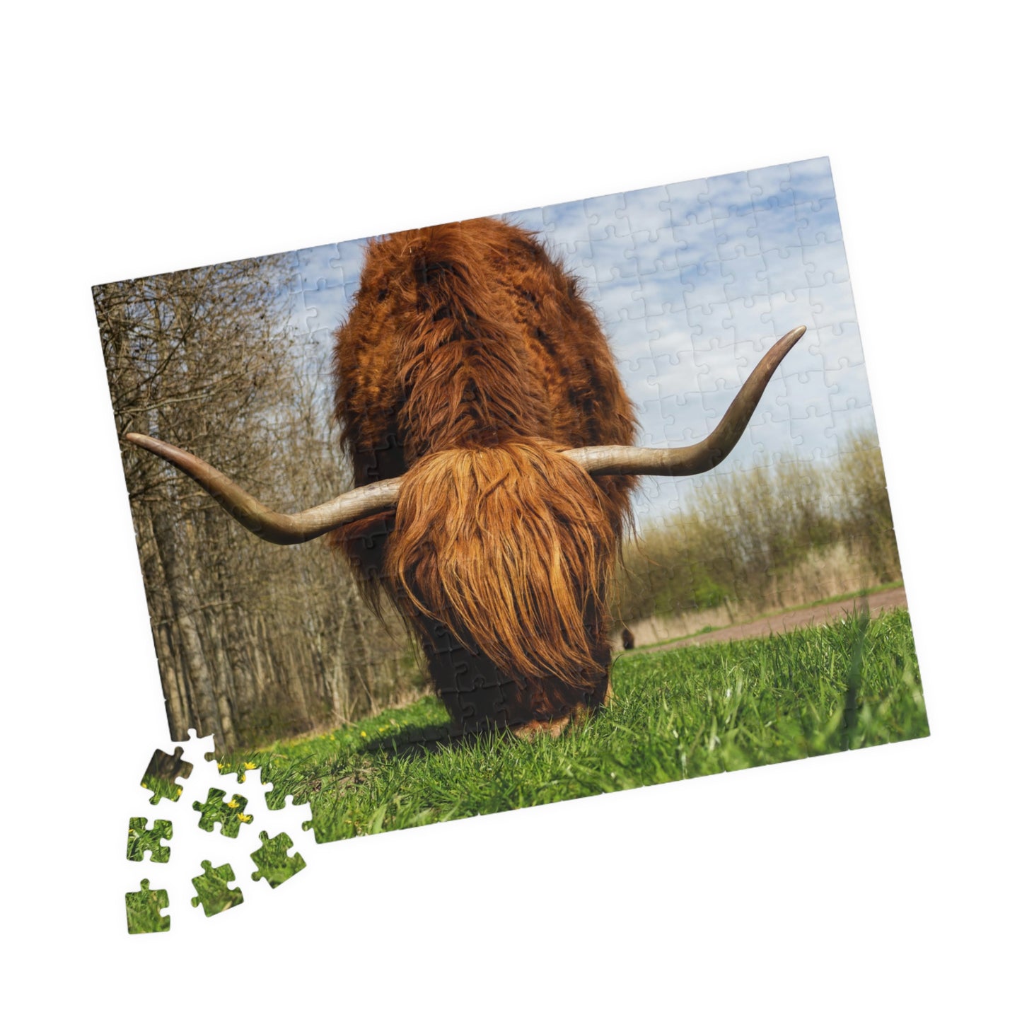 Highland Longhorn Cow Puzzle - 110 to 1014 Pieces