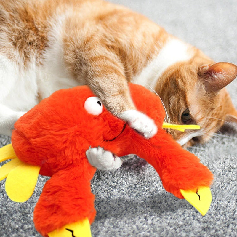 Touch Activated Rechargeable Interactive Indoor Cat Toys