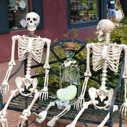 Poseable Full Life Size  Skeleton Halloween Décor
