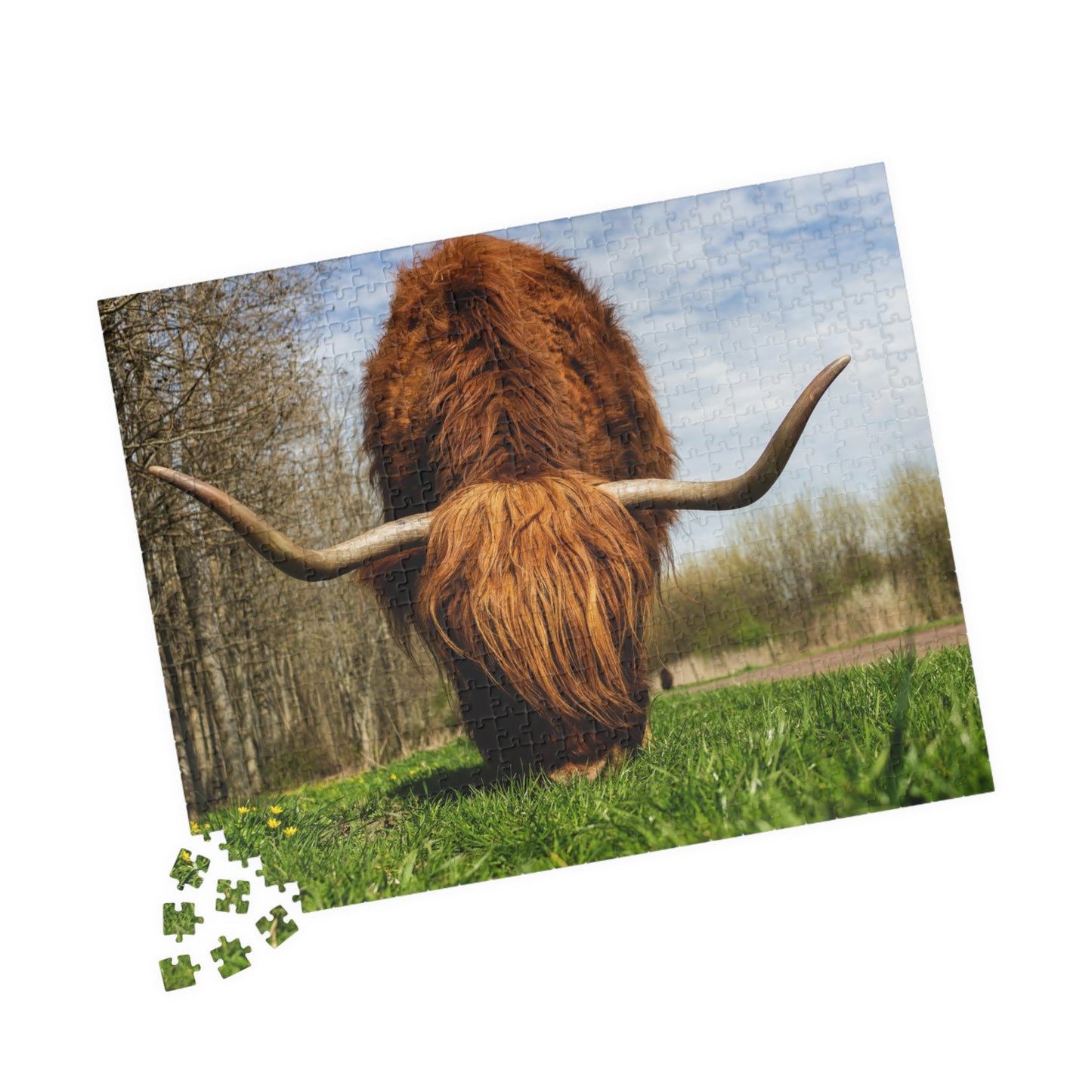 Highland Longhorn Cow Puzzle - 110 to 1014 Pieces