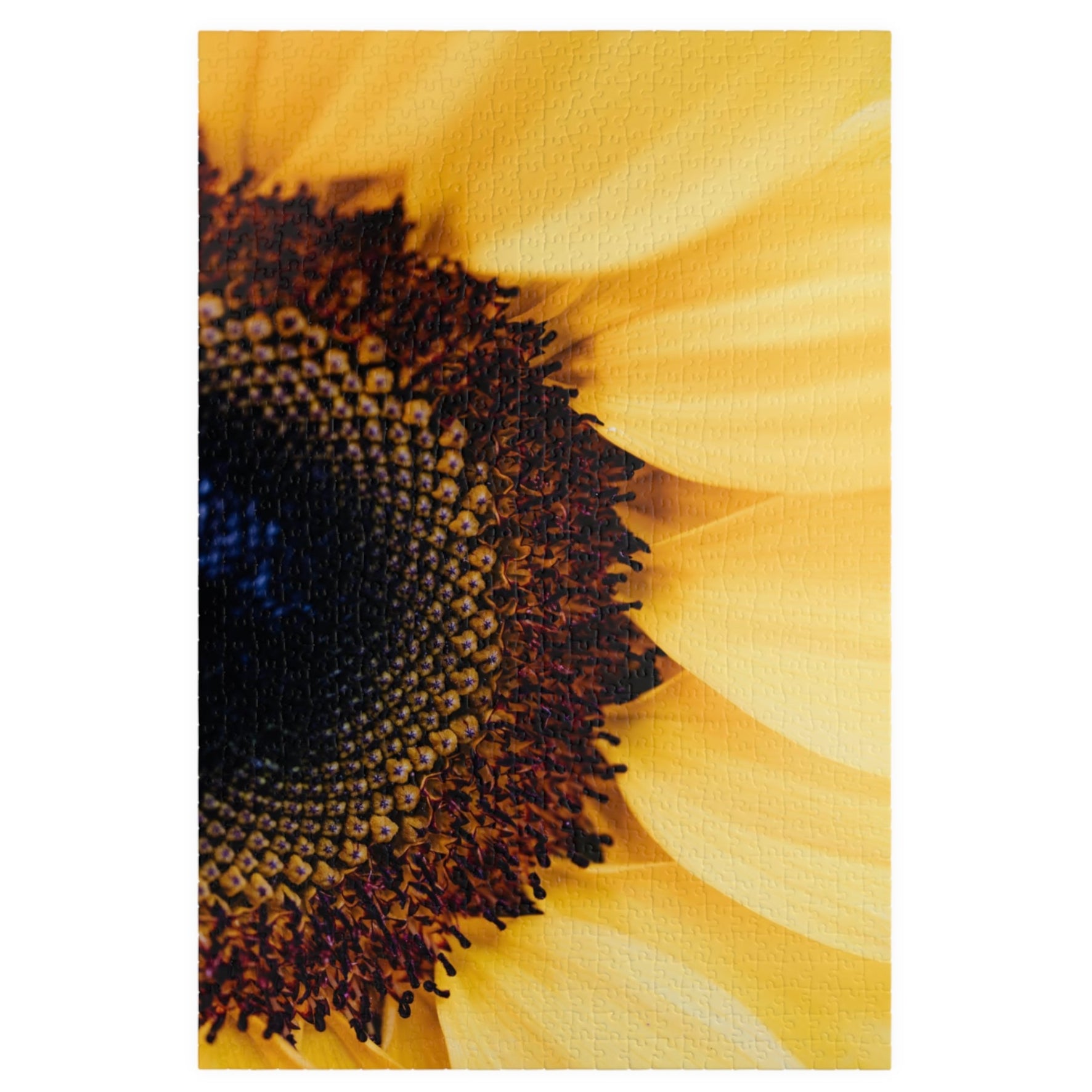 Unleash your inner puzzle solver with our Sunflower Close Up Puzzle! Piece together the vibrant colors and intricate details of this 110 to 1014 piece puzzle. Perfect for anyone who loves a challenge, this puzzle will provide hours of entertainment and a sense of accomplishment upon completion. Get yours today and experience the joy of solving!