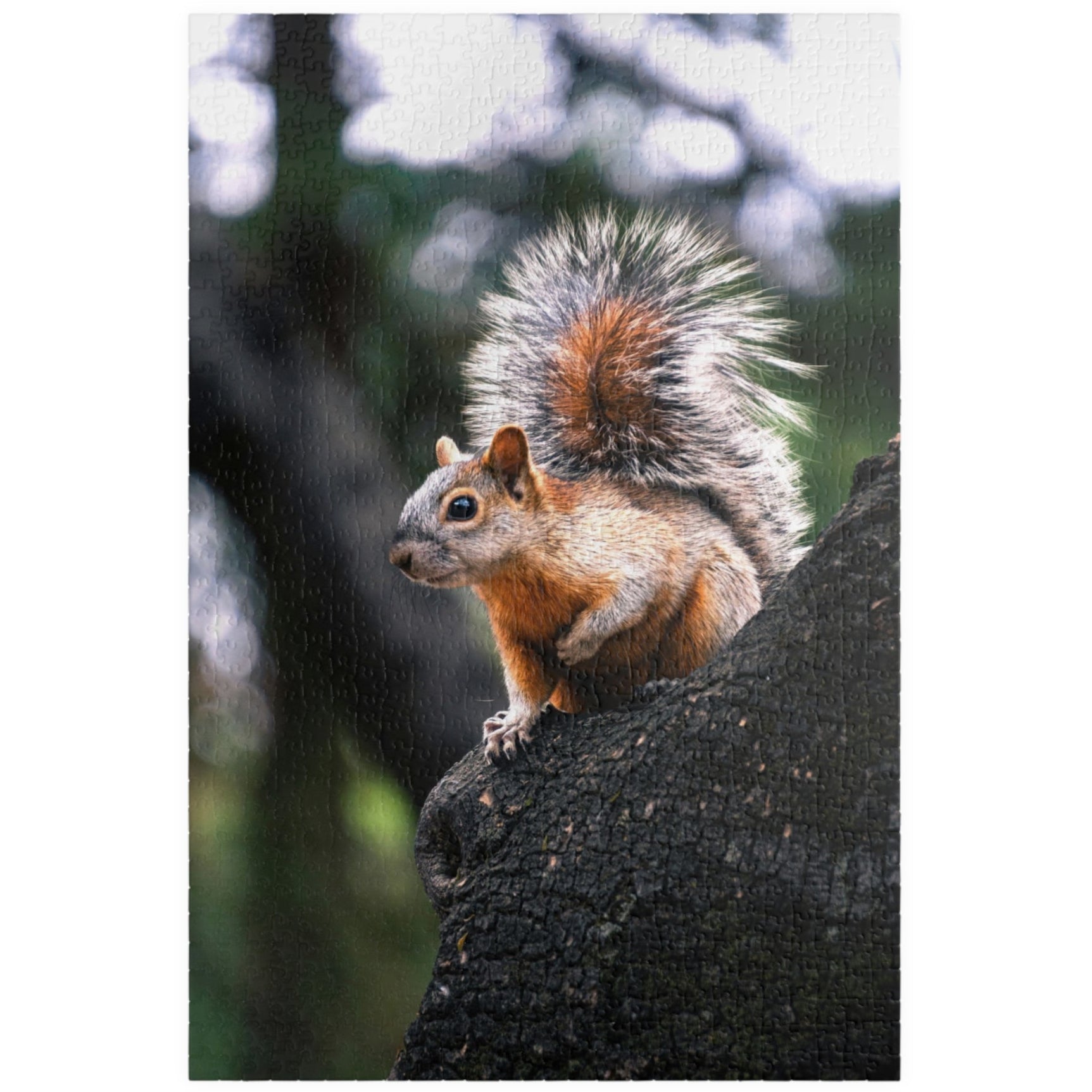 Get lost in nature with this playful Squirrel in The Park puzzle. With 110-1014 pieces, it's the perfect challenge for a lazy afternoon. Piece together this cute critter and enhance your puzzle skills.