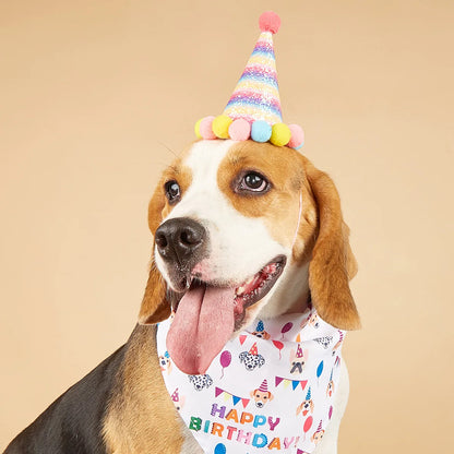 Happy Birthday Pet Party Costume