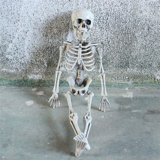 Poseable Full Life Size  Skeleton Halloween Décor