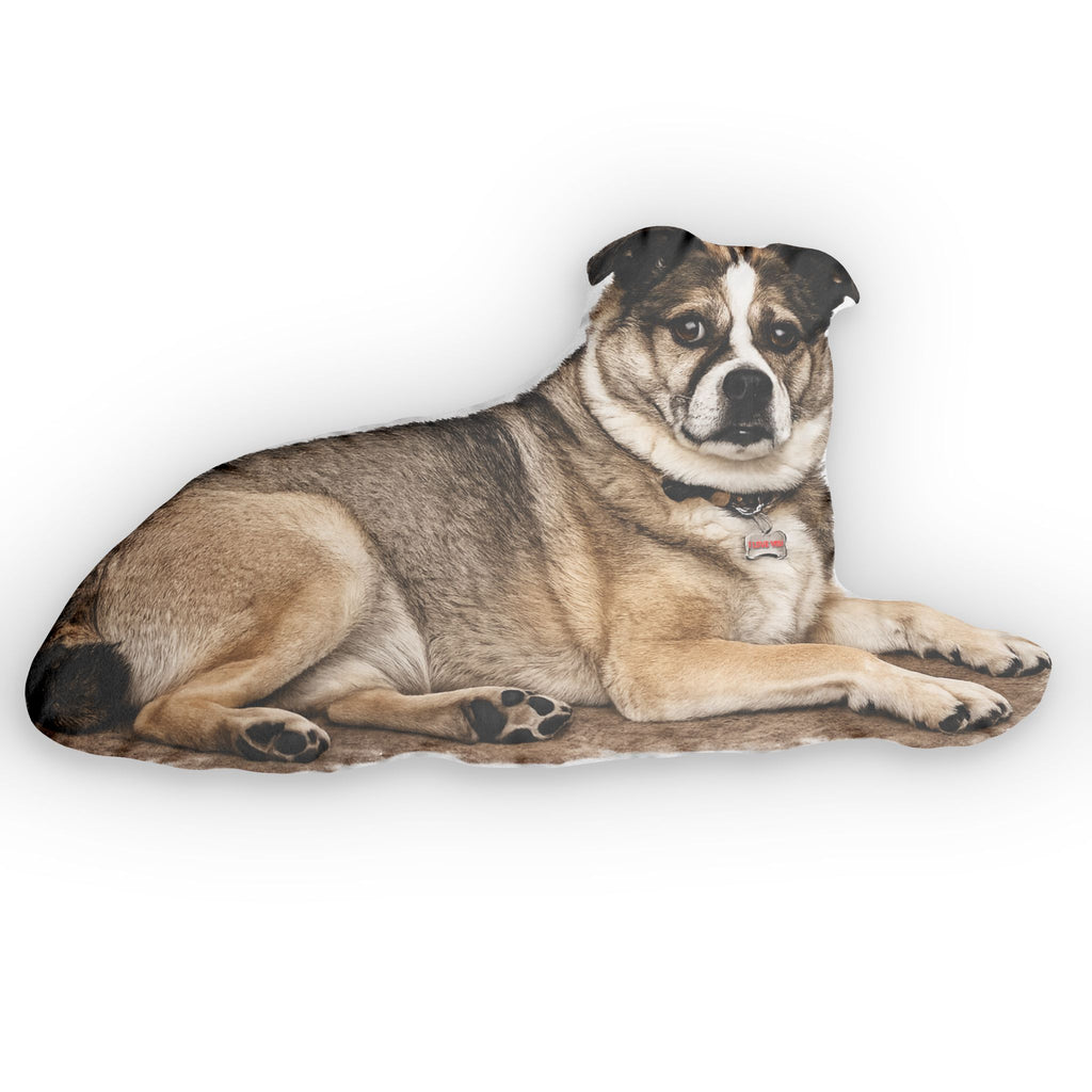 Dog-shaped pillow on a white background