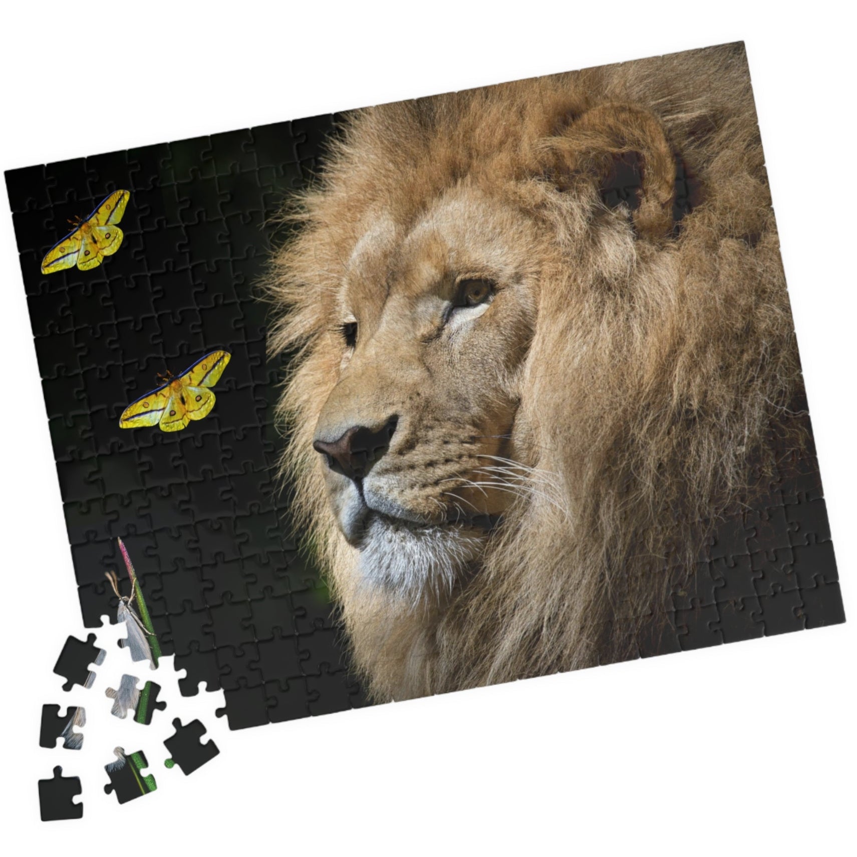 Unleash your adventurous spirit with the Lion &amp; Butterfly Puzzle! Challenge yourself with 110 to 1014 pieces and discover the stunning combination of a majestic lion and delicate butterfly. As you put together this high-quality puzzle, experience the thrill of completing a daring mission.