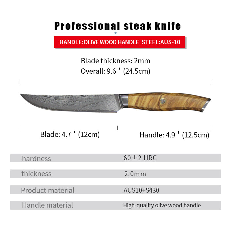 67 Layers Damascus Steel Japanese VG10 Blade Steak Knife