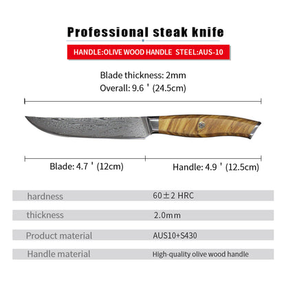 67 Layers Damascus Steel Japanese VG10 Blade Steak Knife