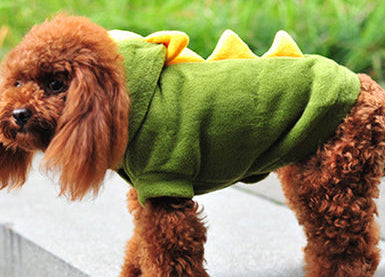 Dinosaur Shaped Halloween Costume for Dogs
