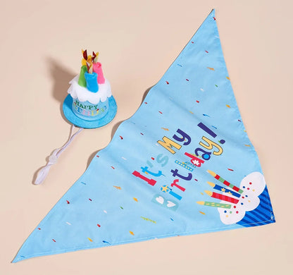 Happy Birthday Pet Party Costume
