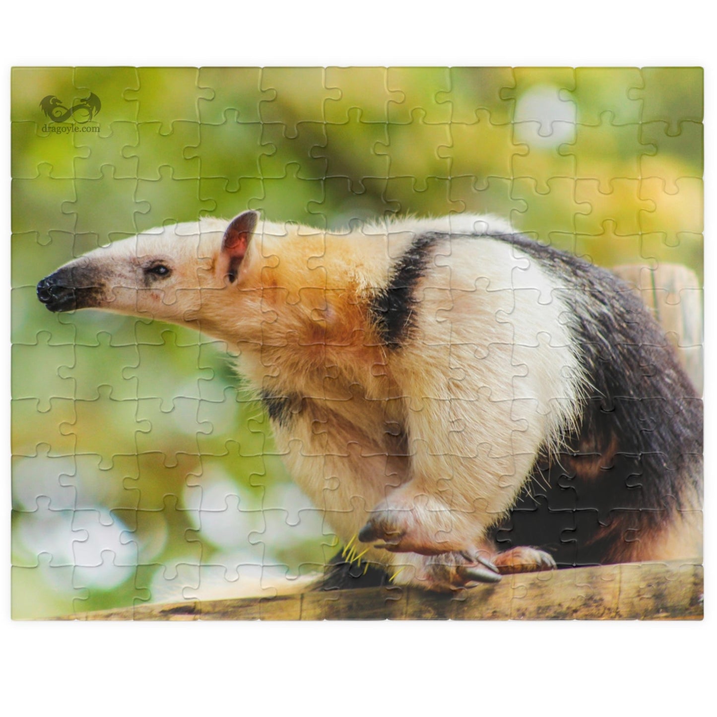 Unleash your inner explorer with our Giant Anteater Puzzle! With 110 to 1014 interlocking pieces, this puzzle is perfect for all skill levels. Delve into the world of this fascinating animal as you piece together its image, and experience the satisfaction of completing this challenging puzzle.