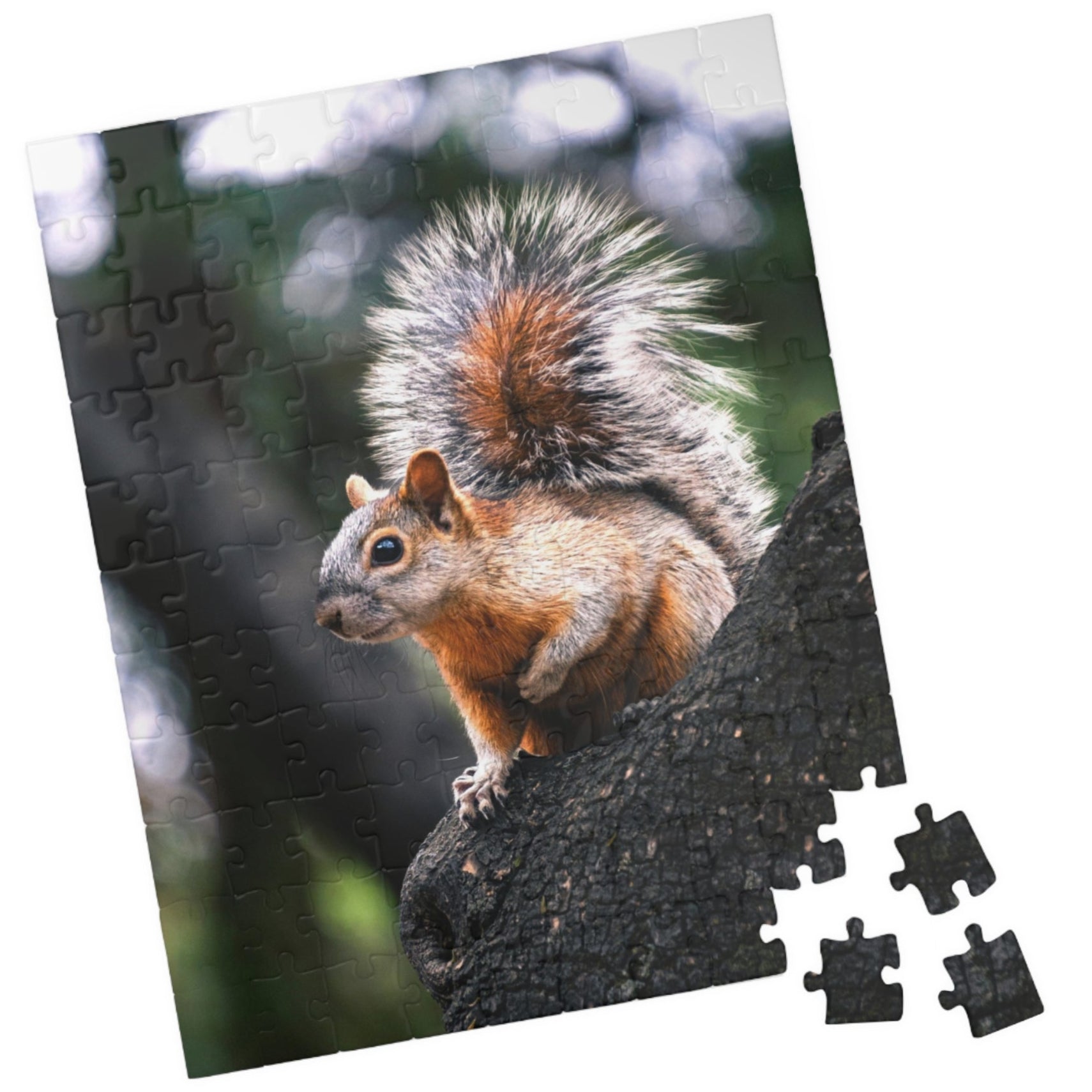 Get lost in nature with this playful Squirrel in The Park puzzle. With 110-1014 pieces, it's the perfect challenge for a lazy afternoon. Piece together this cute critter and enhance your puzzle skills.