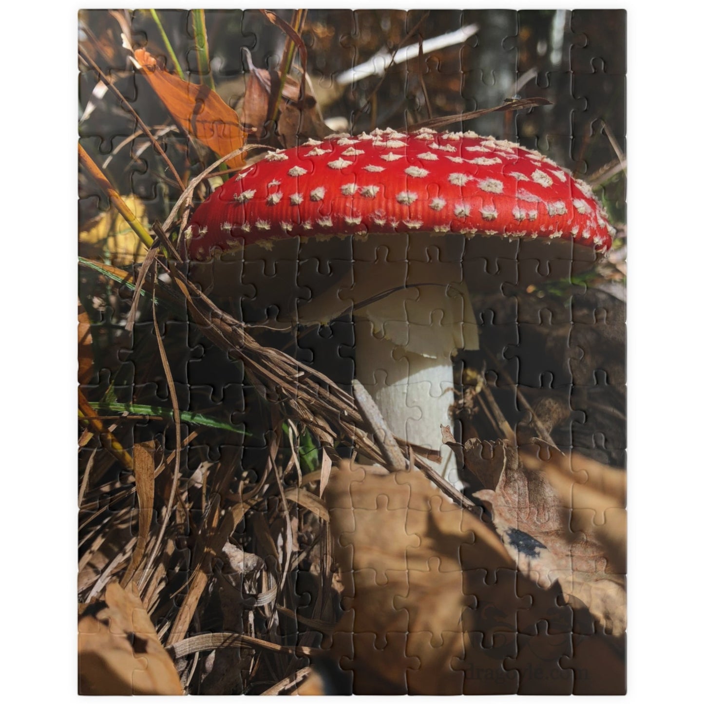 This Single Red Mushrooms Puzzle features a captivating image of vibrant mushrooms, ranging from 110 to 1014 pieces. With high-quality materials and intricate design, it offers a challenging yet satisfying puzzle-solving experience. 