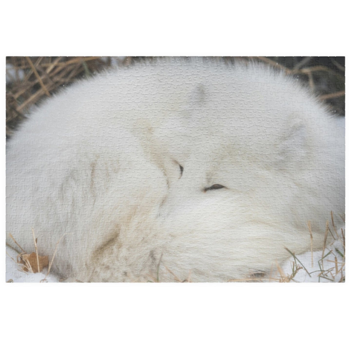 Discover the beauty of nature with our Sleeping White Fox Puzzle! This puzzle features a stunning image of a peaceful white fox, and is available in 110 to 1014 pieces. Piece by piece, you'll feel a sense of accomplishment as you bring this majestic creature to life. Perfect for animal lovers and puzzle enthusiasts alike!