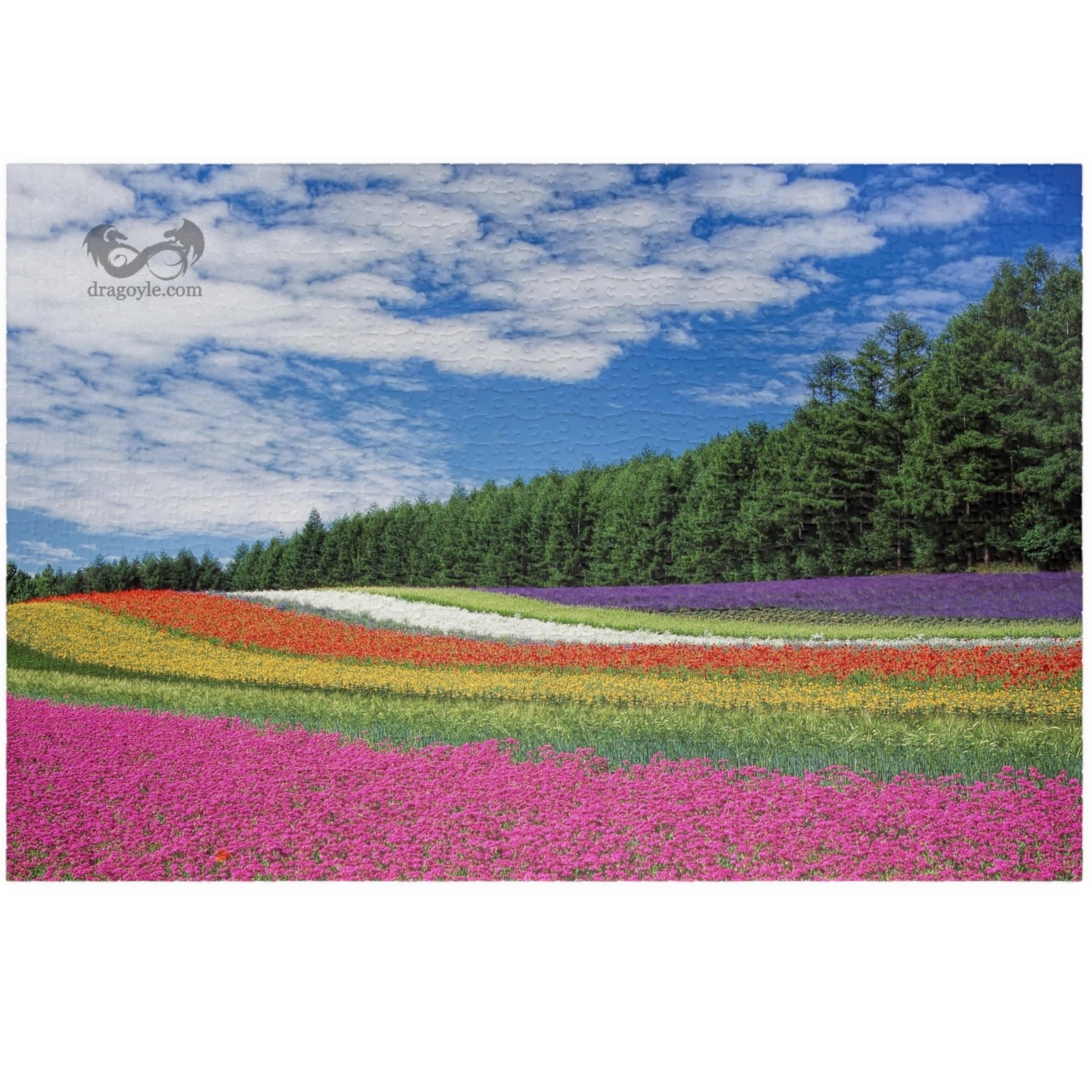 Experience the vibrant beauty of the Rainbow Colored Fields Puzzle! With 110 to 1014 pieces, this puzzle offers both a challenging and relaxing activity. As each piece falls into place, watch the mesmerizing colors come together to create a stunning landscape. 