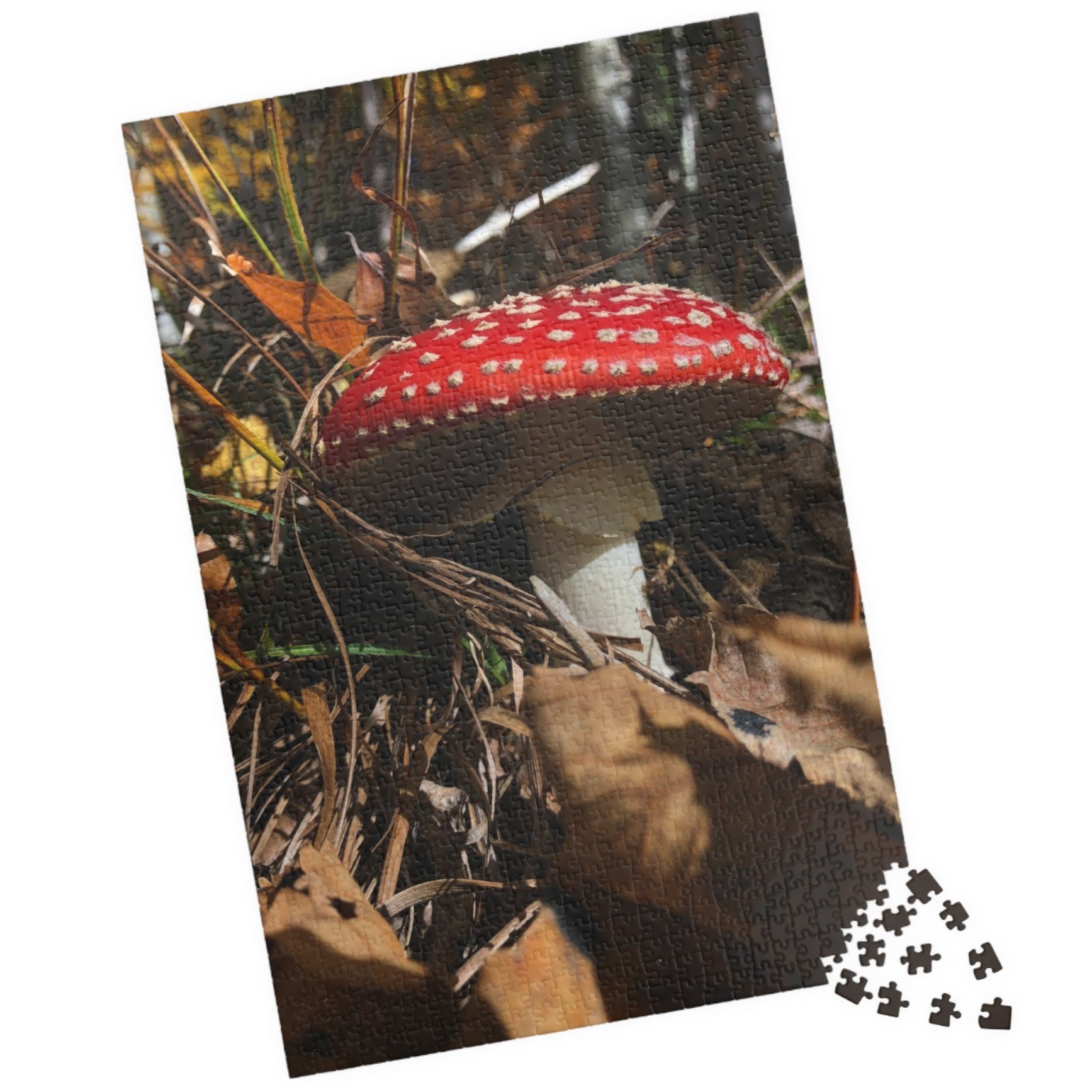 This Single Red Mushrooms Puzzle features a captivating image of vibrant mushrooms, ranging from 110 to 1014 pieces. With high-quality materials and intricate design, it offers a challenging yet satisfying puzzle-solving experience. 