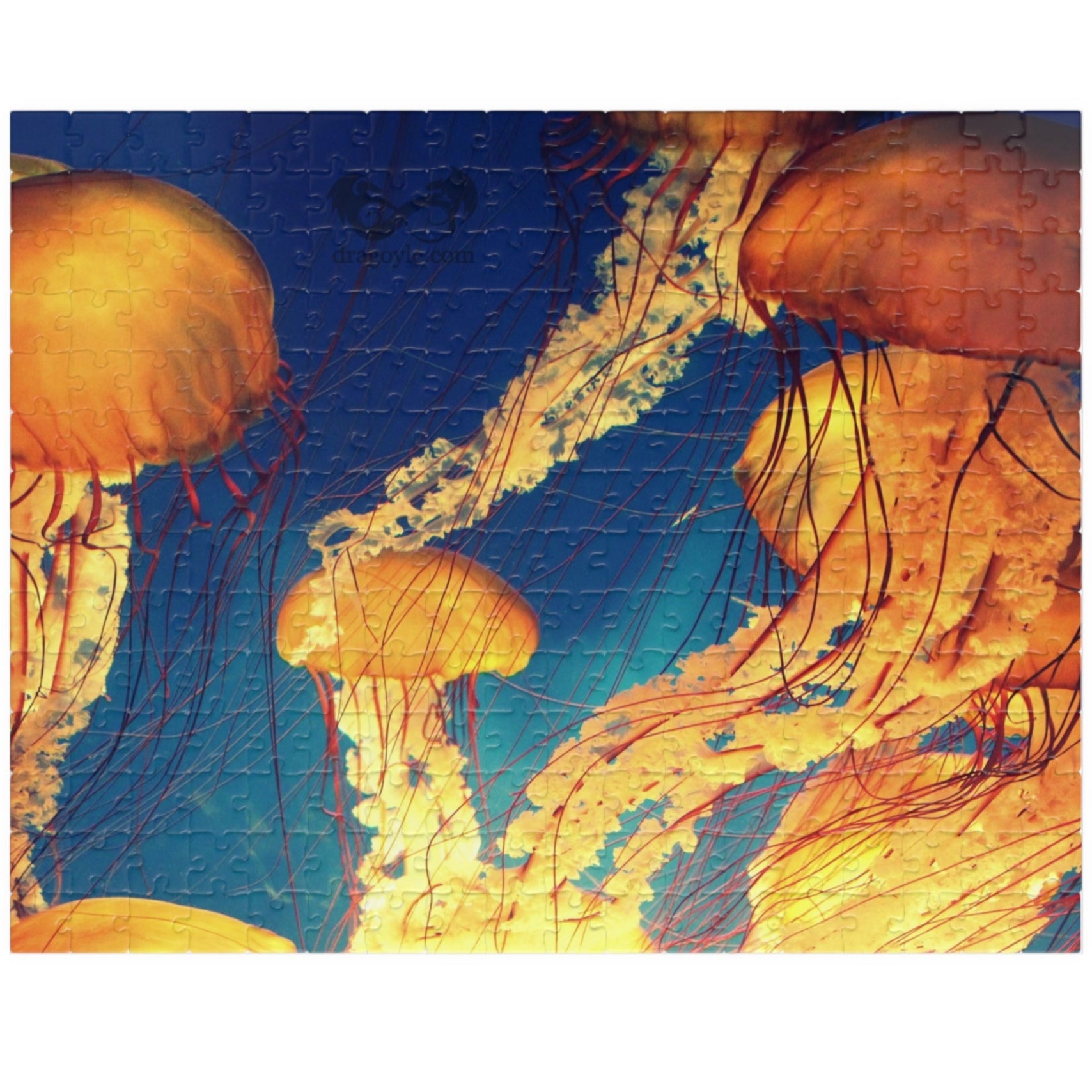 Indulge in the essence of the ocean with our Orange Jellyfish Puzzle. Crafted with 110 to 1014 pieces, this puzzle captures the striking hues and intricate details of a jellyfish. Dive into a world of relaxation and challenge your mind simultaneously.