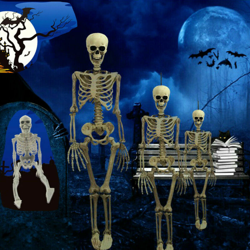 Poseable Full Life Size  Skeleton Halloween Décor