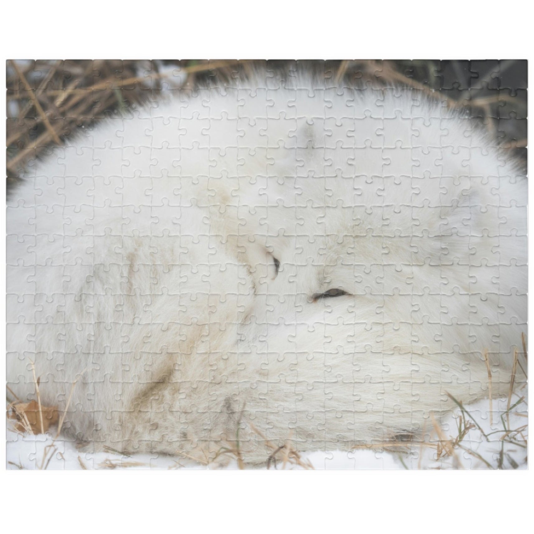 Discover the beauty of nature with our Sleeping White Fox Puzzle! This puzzle features a stunning image of a peaceful white fox, and is available in 110 to 1014 pieces. Piece by piece, you'll feel a sense of accomplishment as you bring this majestic creature to life. Perfect for animal lovers and puzzle enthusiasts alike!