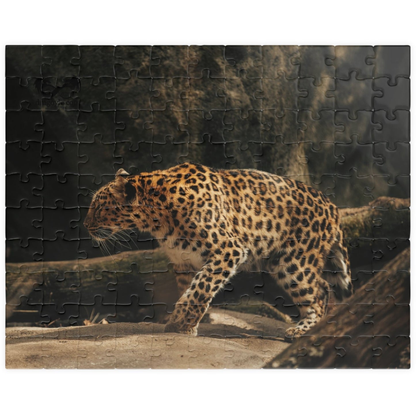 Unleash your wild side with our Stalking Leopard Puzzle! Challenge yourself with 110 to 1014 pieces of fierce feline action. Let the stalking begin as you put together this dynamic image of a sleek and powerful leopard. Embrace the thrill of the hunt and complete this puzzle today!