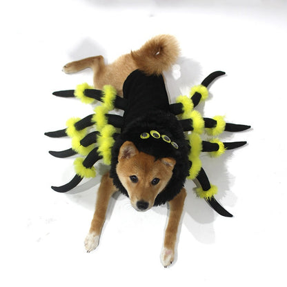 Spider Cosplay Halloween Funny Dog or Cat Costume
