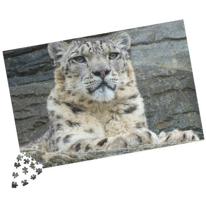 Join the wild adventure with our Royal Snow Leopard Puzzle! With 110 to 1014 pieces, this puzzle will challenge you to piece together the majestic snow leopard in its natural habitat. Unleash your inner risk-taker as you embark on this thrilling puzzle journey!