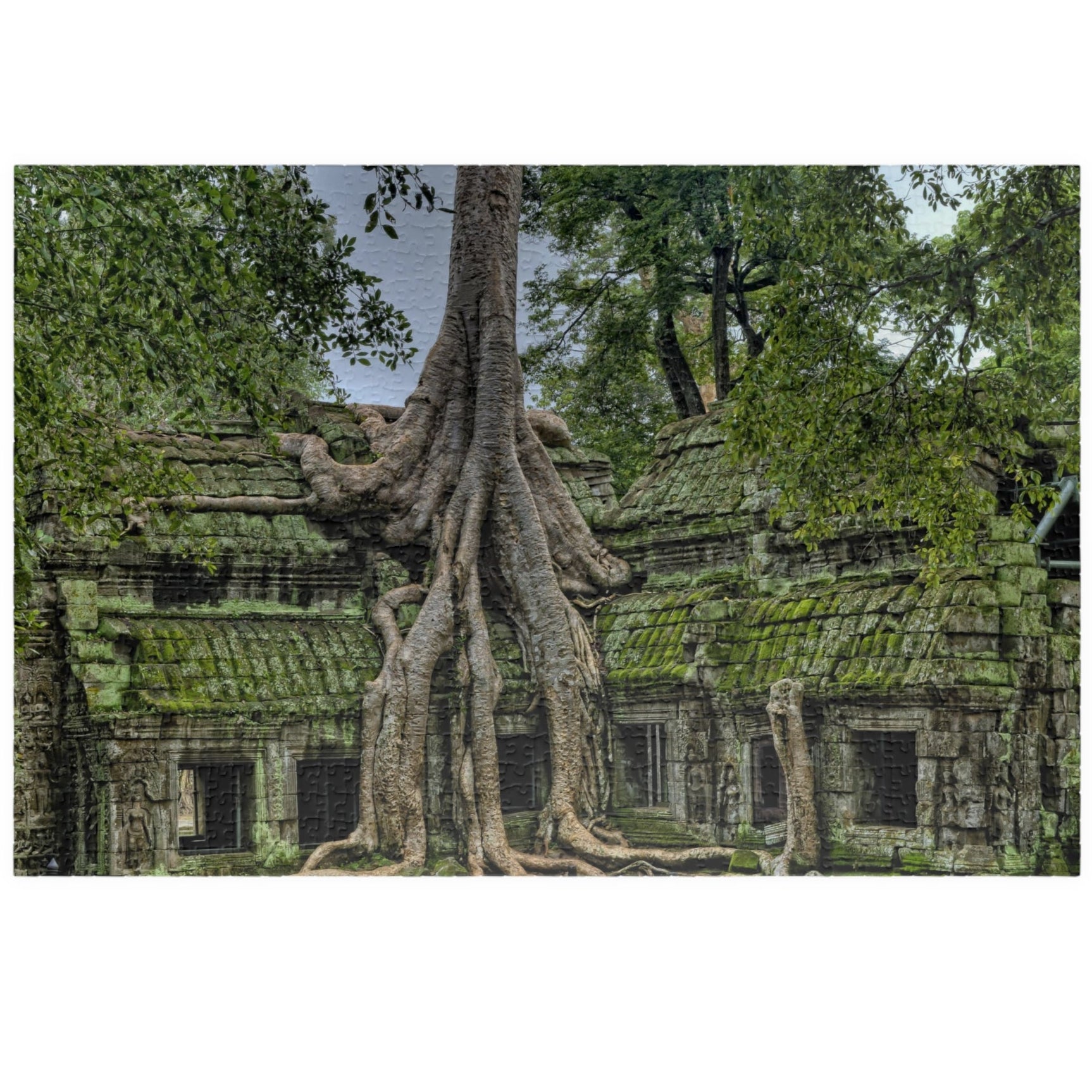 Explore the ancient world with our Overgrown Tree House Puzzle. With 110 to 1014 pieces, this puzzle offers hours of challenge and satisfaction. Discover the beauty and mystery of the tree house as you piece together the intricate details of this ancient structure. Perfect for puzzle enthusiasts and history buffs alike.