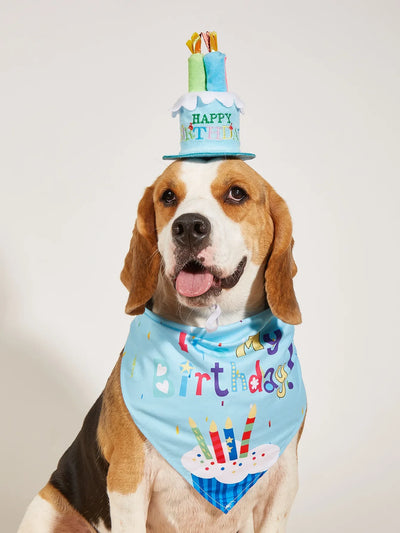 Happy Birthday Pet Party Costume
